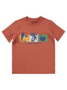 Picture of Boys T-Shirt 6-9 Years Dark Copper - Package