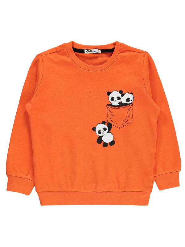 Picture of Boys Sweatshirt 2-5 Years Orange - Package