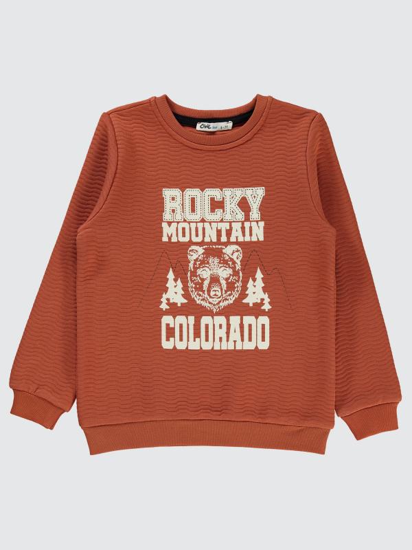 Picture of Boys Sweatshirt 6-9 Years Copper - Package