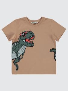 Picture of Boys T-Shirt 2-5 Years Mink  - Package