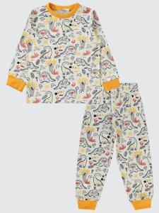Picture of Boys Pajama Set 2-5 Years Mustard - Package