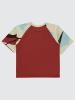 Picture of Boys T-Shirt 10-13 Years Dark Copper - Package
