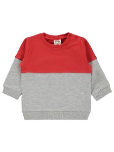 Picture of Baby Sweatshirt 0-24 Months Gray Melange - Package