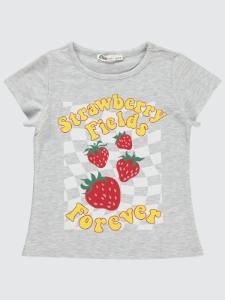 Picture of Girls T-Shirt 2-5 Years Heather Gray Melange - Package