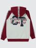 Picture of Boys Cardigan 10-13 Years Burgundy - Package