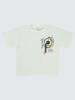 Picture of Boys T-Shirt 10-13 Years White - Package