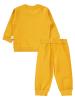 Picture of Baby Set 0-24 Months Mustard - Package