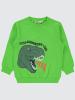 Picture of Boys Sweatshirt 2-5 Years Lemon Green - Package