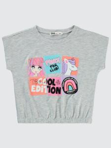 Picture of Girls T-Shirt 2-5 Years Heather Gray Melange - Package