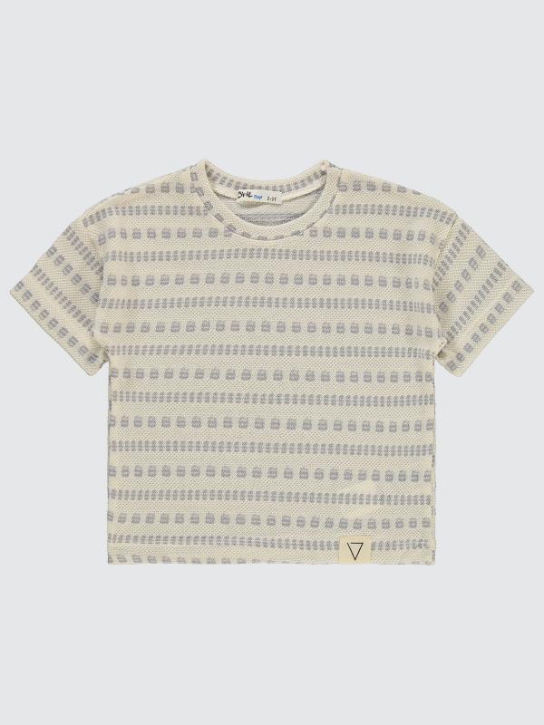 Picture of Boys T-Shirt 2-5 Years Gray - Package