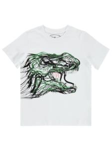 Picture of Boys T-Shirt 10-13 Years White - Package