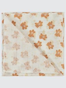 Picture of Baby Blanket and Swaddle 0-24 Months Ecru - Package
