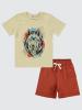 Picture of Boys Set 2-5 Years Stone Color - Package
