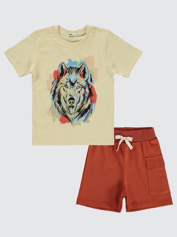 Picture of Boys Set 2-5 Years Stone Color - Package