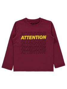Picture of Boys Sweatshirt 6-9 Years Burgundy - Package