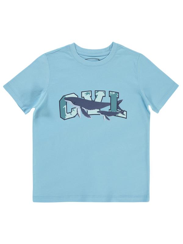 Picture of Boys T-Shirt 10-13 Years Blue - Package