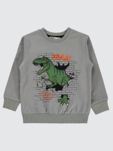 Picture of Boys Sweatshirt 2-5 Years Gray - Package