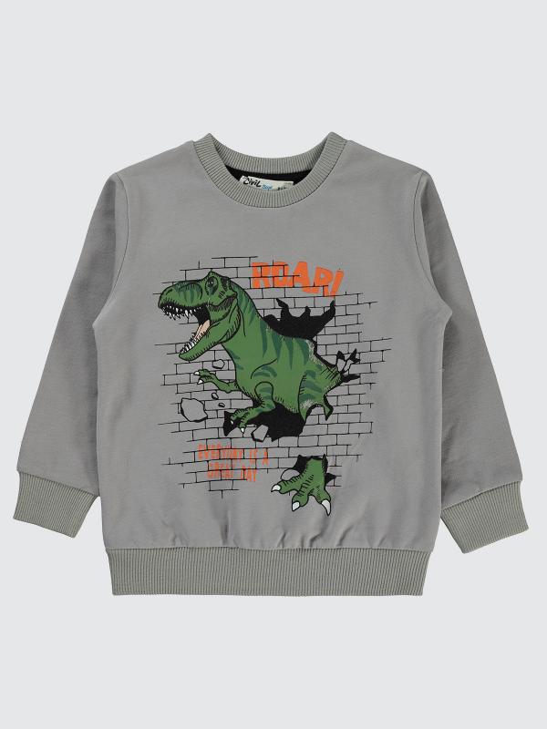 Picture of Boys Sweatshirt 2-5 Years Gray - Package