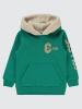 Picture of Boys Sweatshirt 2-5 Years Pine Green - Package