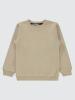 Picture of Boys Sweatshirt 10-13 Years Stone Color - Package