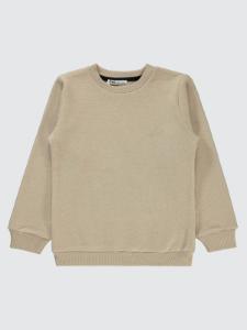 Stone Color
