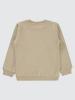 Picture of Boys Sweatshirt 10-13 Years Stone Color - Package