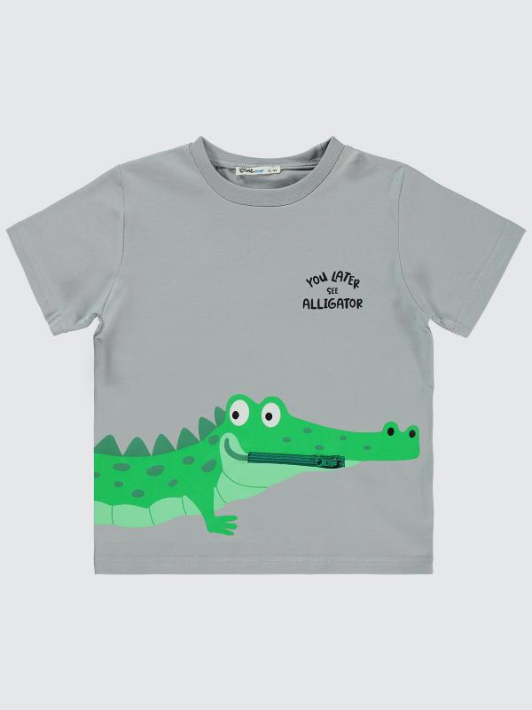 Picture of Boys T-Shirt 2-5 Years Painted Gray - Package