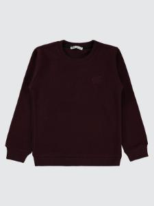 Picture of Boys Sweatshirt 6-9 Years Burgundy - Package