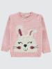 Picture of Girls Sweater 2-5 Years Pink - Package