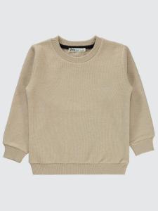 Picture of Boys Sweatshirt 2-5 Years Stone Color - Package