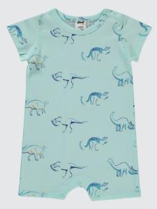 Picture of Baby Jumpsuit 0-24 Months Mint - Package