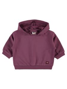 Picture of Baby Sweatshirt 0-24 Months Dark Dusty Rose - Package