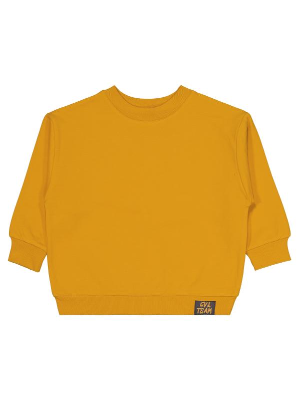 Picture of Boys Sweatshirt 2-5 Years Mustard - Package