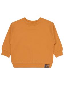 Picture of Boys Sweatshirt 2-5 Years Cinnamon - Package