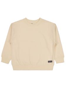 Picture of Boys Sweatshirt 6-9 Years Stone Color - Package