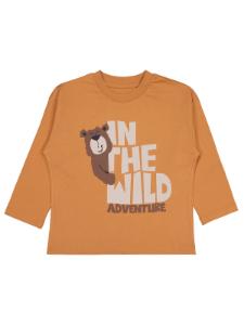 Picture of Boys Sweatshirt 2-5 Years Cinnamon - Package