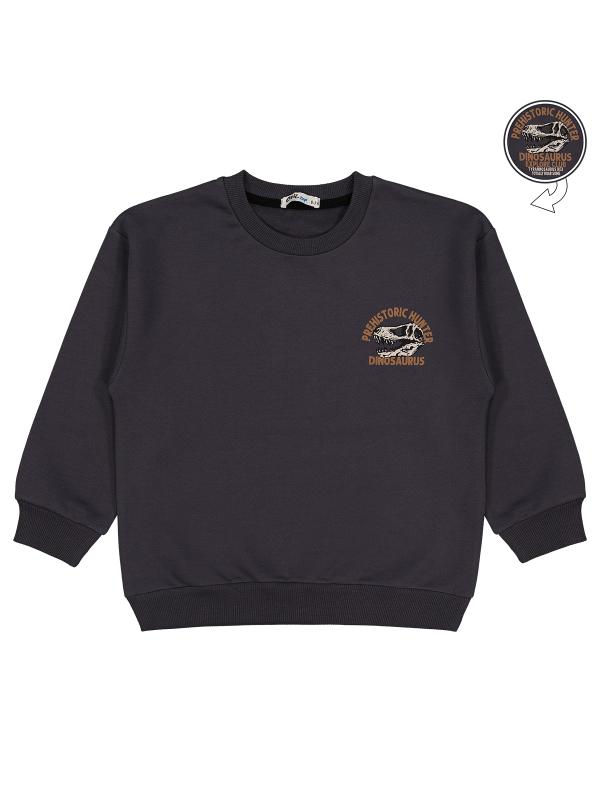 Picture of Boys Sweatshirt 6-9 Years Anthracite - Package