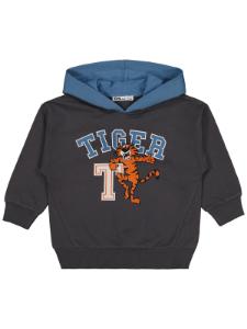 Фото Antrasit Erkek Çocuk-Sweatshirt  - Paket