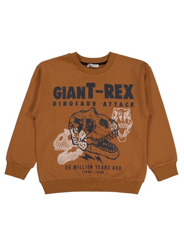 Picture of Boys Sweatshirt 10-13 Years Brown - Package