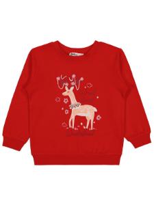 Picture of Girls Sweatshirt 2-5 Years Red - Package