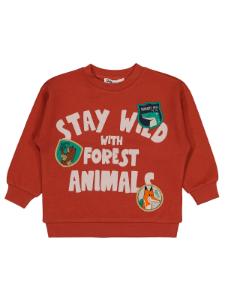 Picture of Boys Sweatshirt 2-5 Years Dark Copper - Package