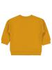 Picture of Baby Sweatshirt 0-24 Months Mustard - Package