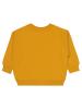 Picture of Boys Sweatshirt 2-5 Years Mustard - Package