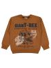 Picture of Boys Sweatshirt 10-13 Years Brown - Package