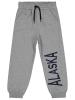 Picture of Boys Track Pants 6-9 Years Gray Melange - Package