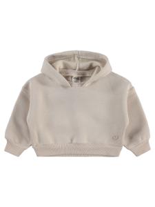 Picture of Baby Sweatshirt 0-24 Months Stone Color - Package