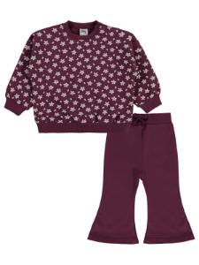 Picture of Baby Set 0-24 Months Dark Dusty Rose - Package