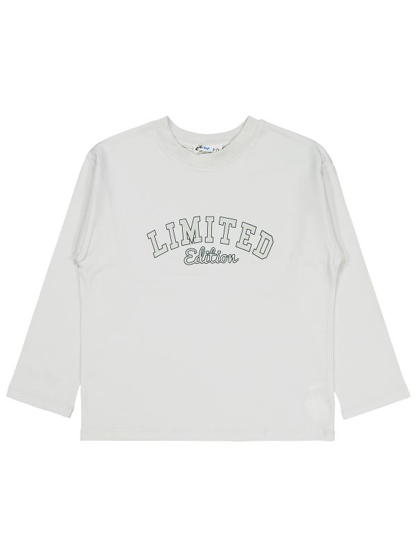 Picture of Boys Sweatshirt 6-9 Years Light Gray - Package