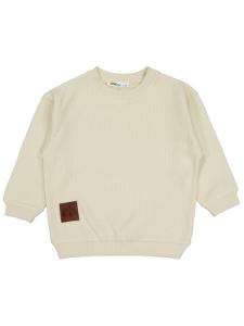 Picture of Boys Sweatshirt 2-5 Years Stone Color - Package