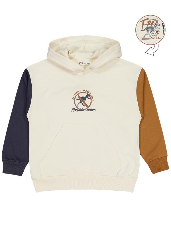 Picture of Boys Sweatshirt 6-9 Years Anthracite - Package